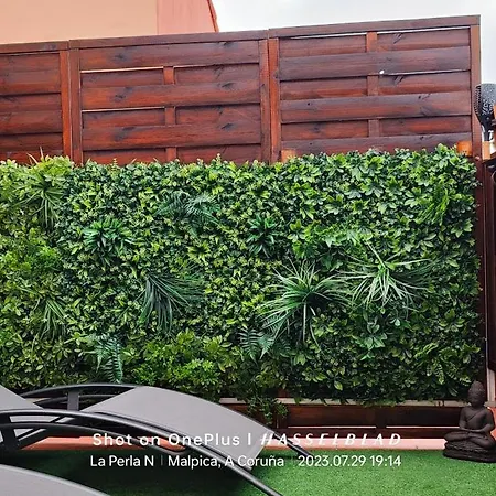 La Perla Negra Apartment